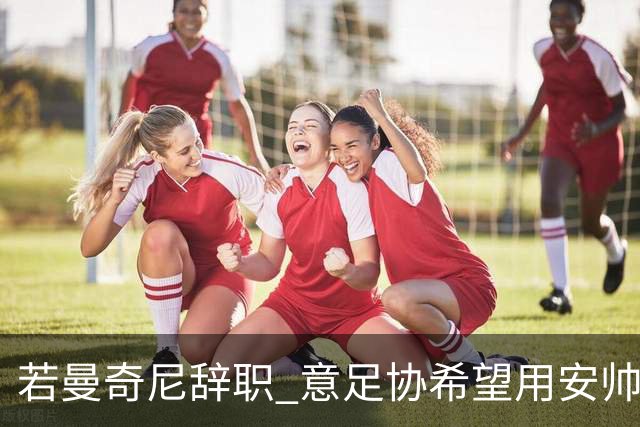 若曼奇尼辞职 意足协希望用安帅或卡纳瓦罗替代